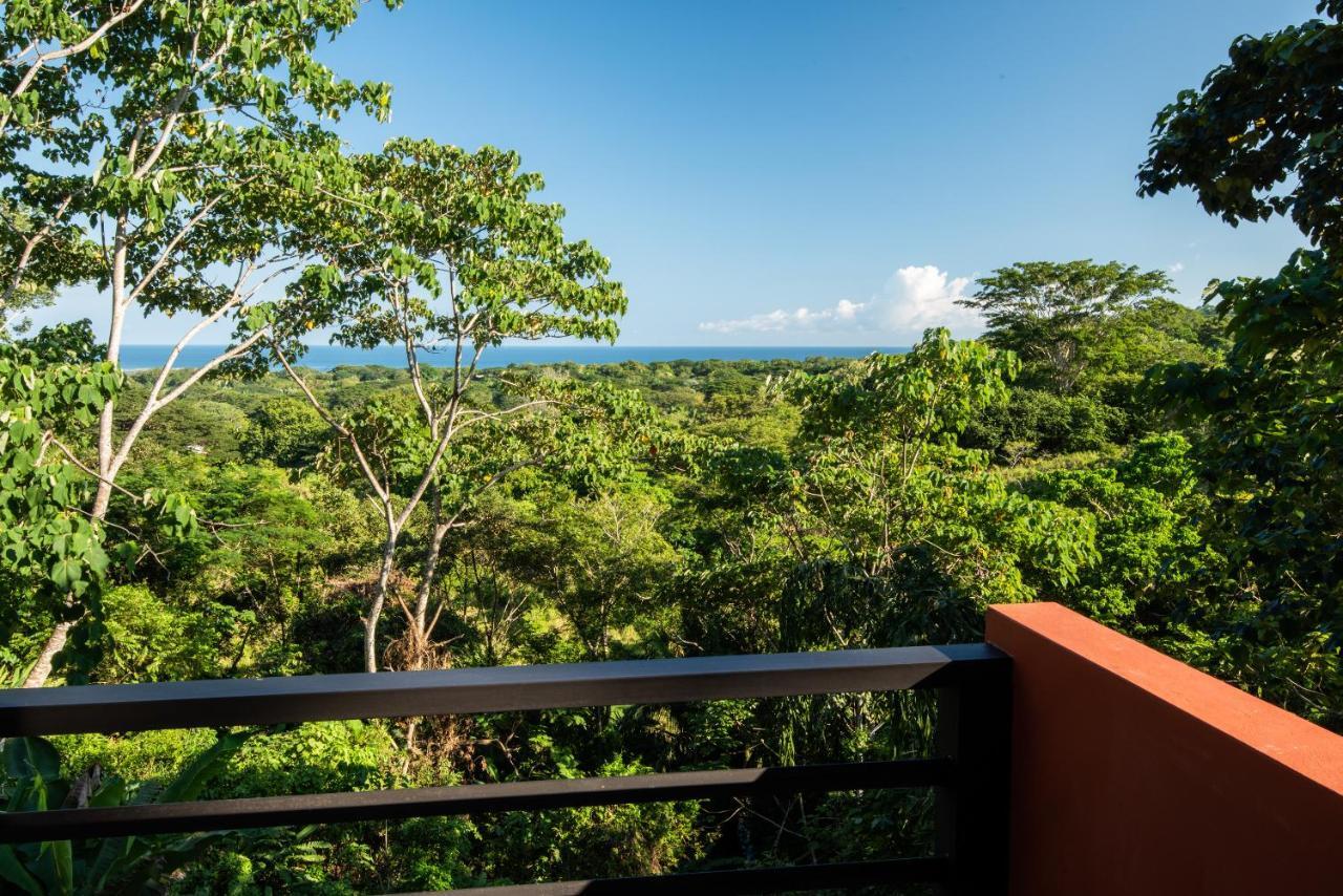 Jungle Lodge At Wild Sun Rescue Center Cabuya  ภายนอก รูปภาพ