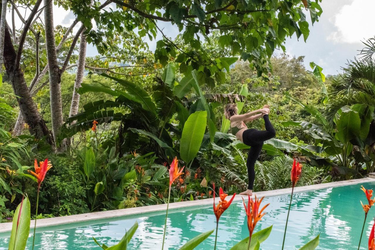 Jungle Lodge At Wild Sun Rescue Center Cabuya  ภายนอก รูปภาพ